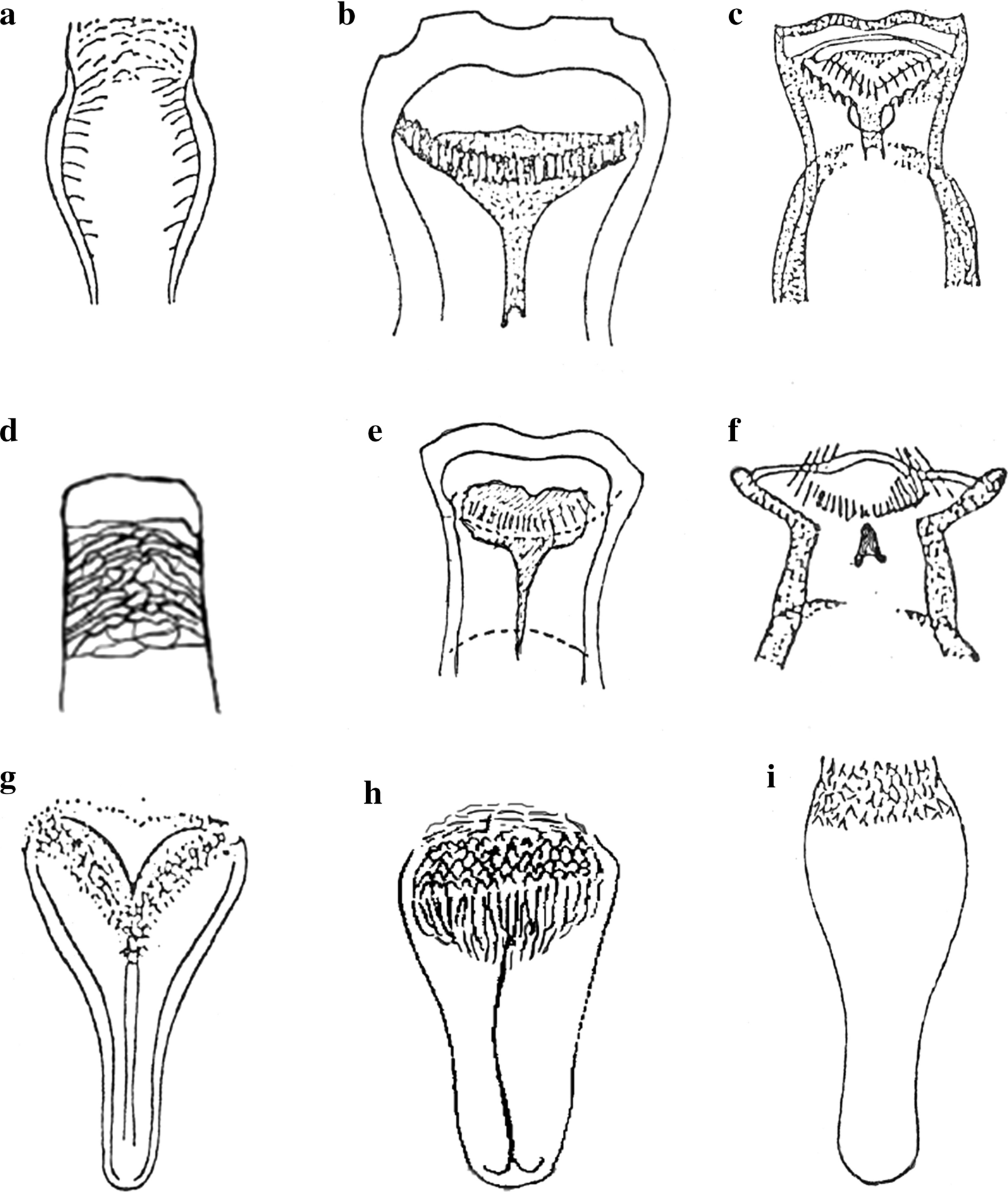 Fig. 5