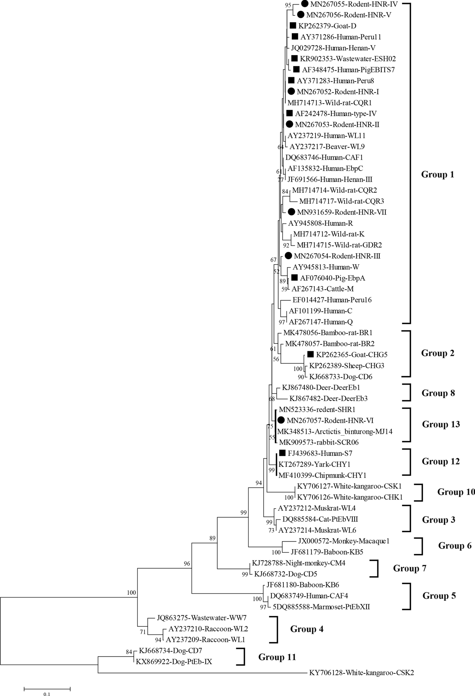 Fig. 2