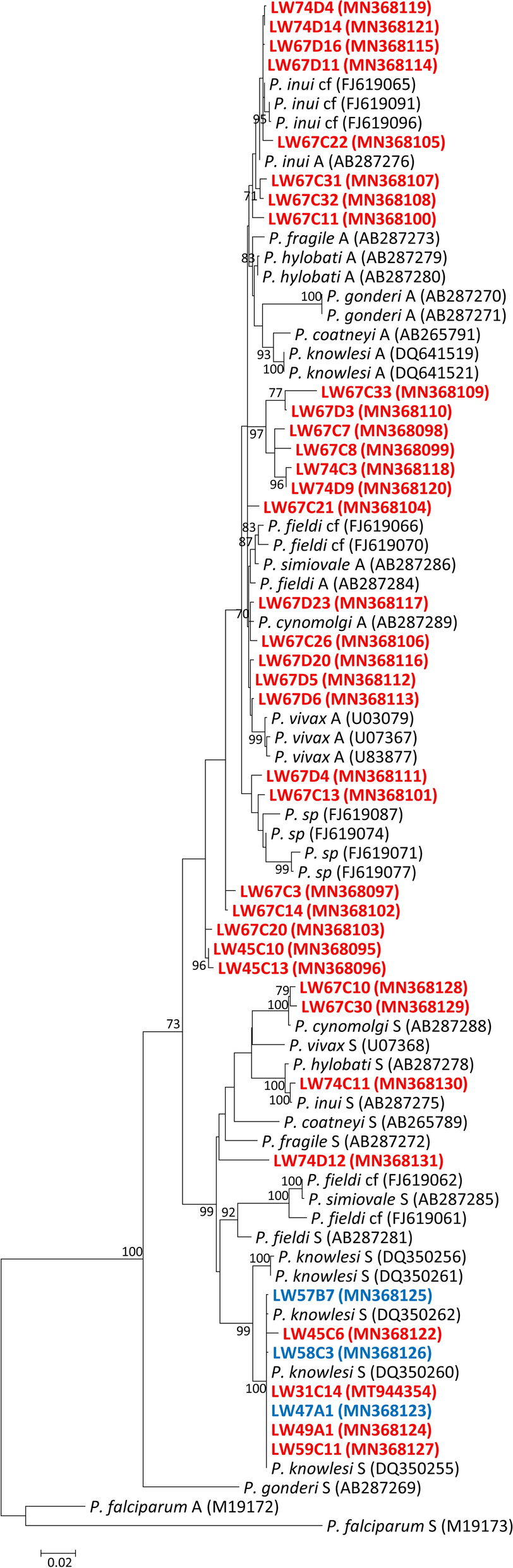 Fig. 2