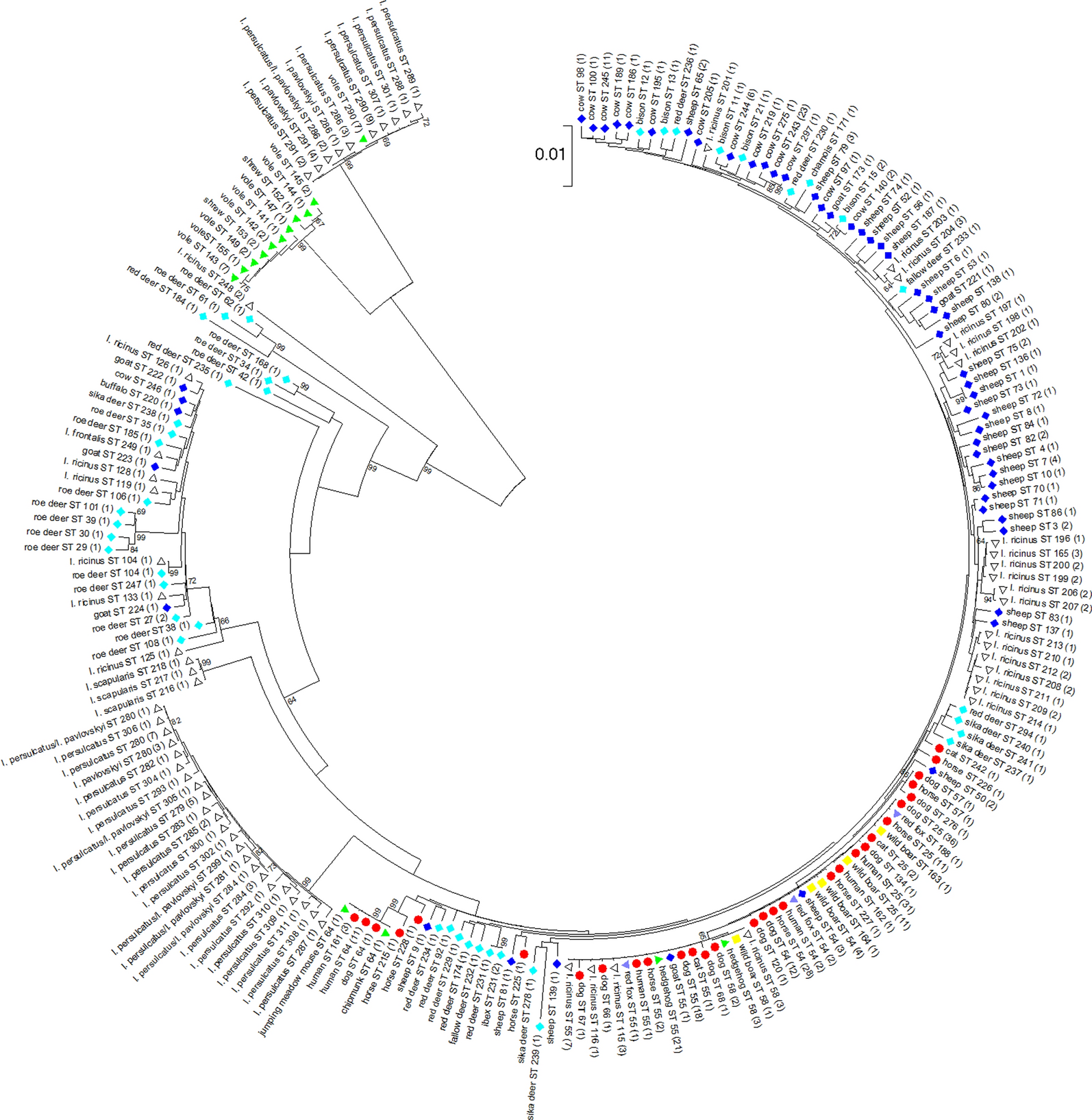 Fig. 1