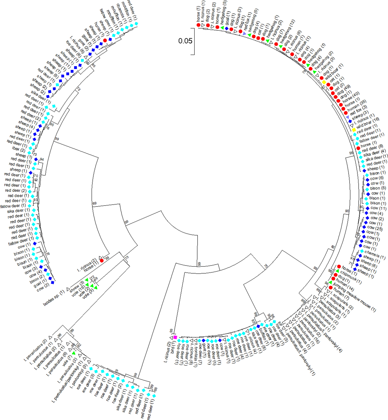 Fig. 2