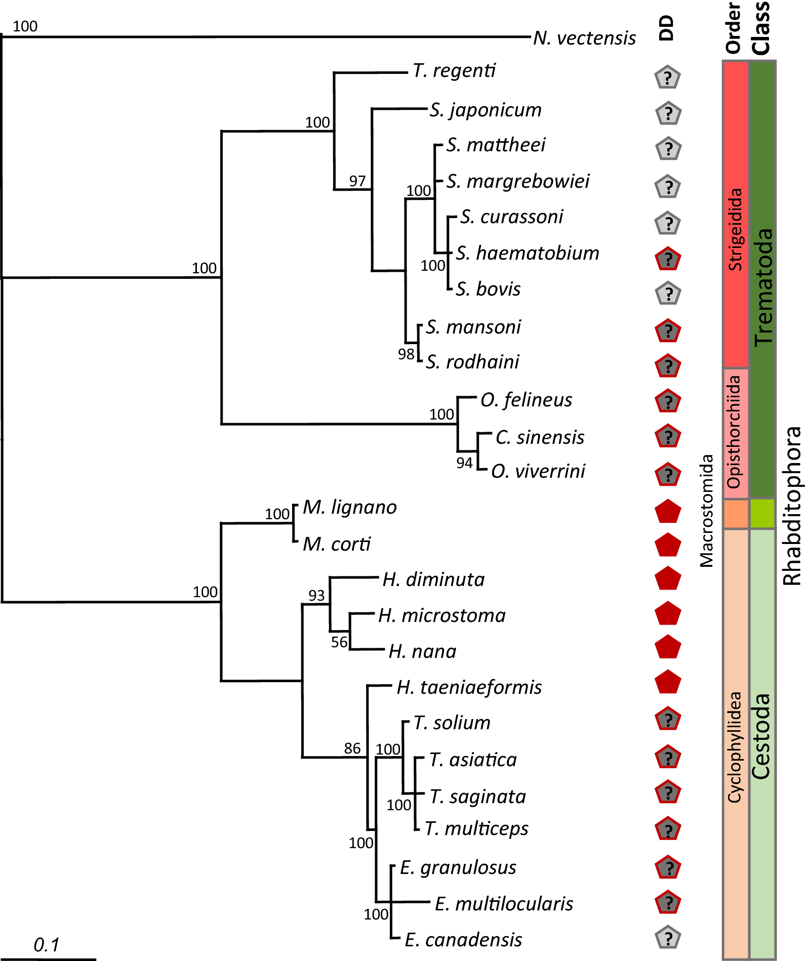 Fig. 2