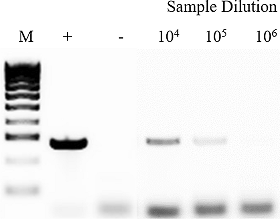 Fig. 3