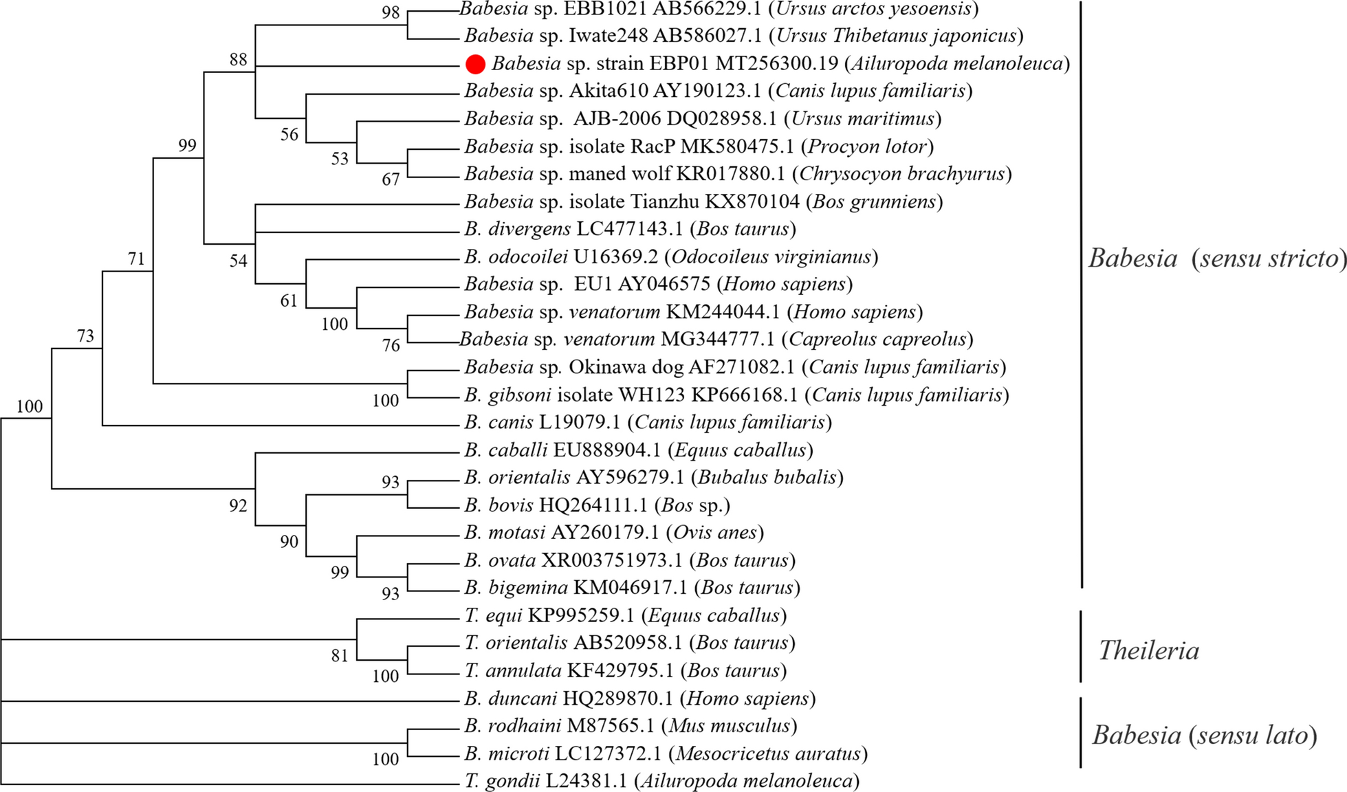 Fig. 4