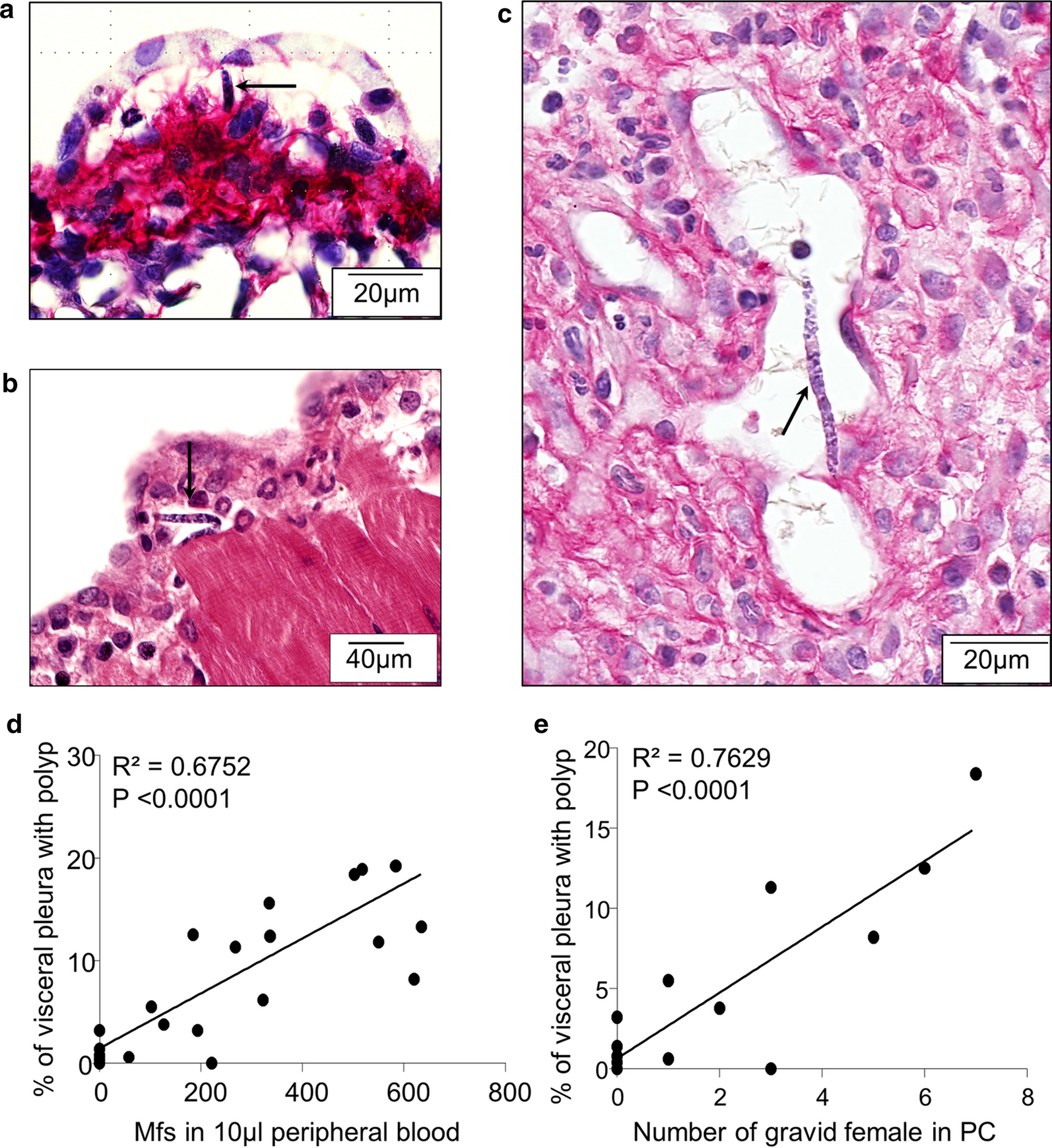 Fig. 6