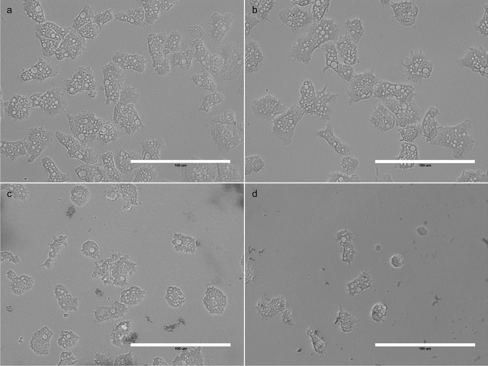 Fig. 5