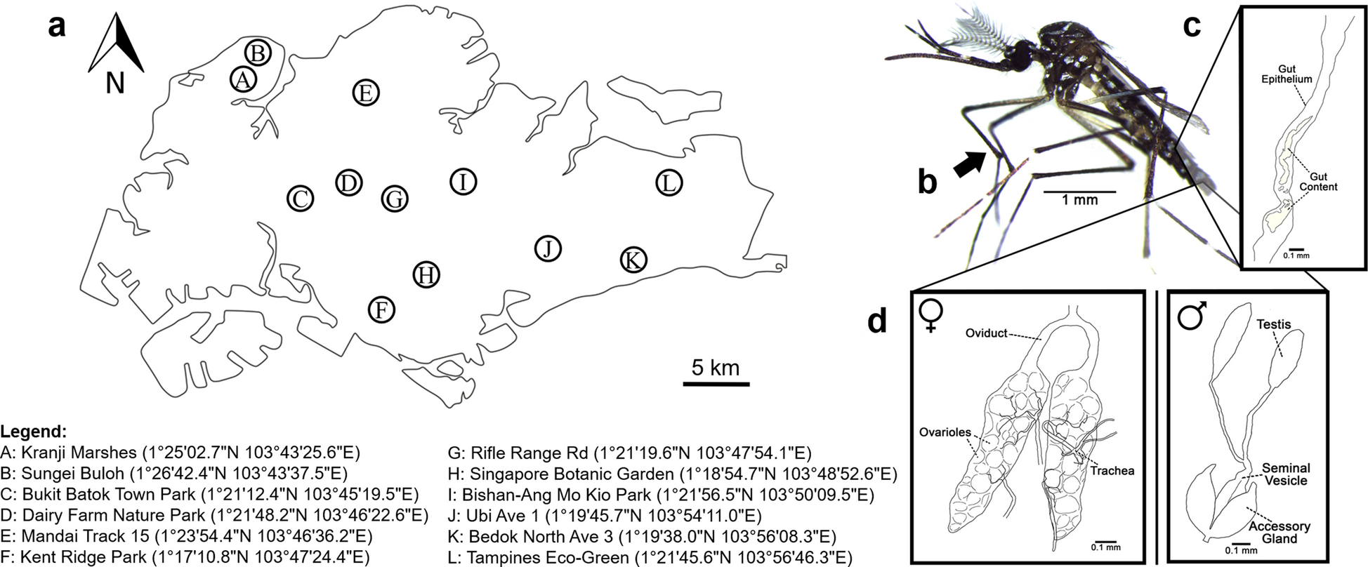 Fig. 1a–d