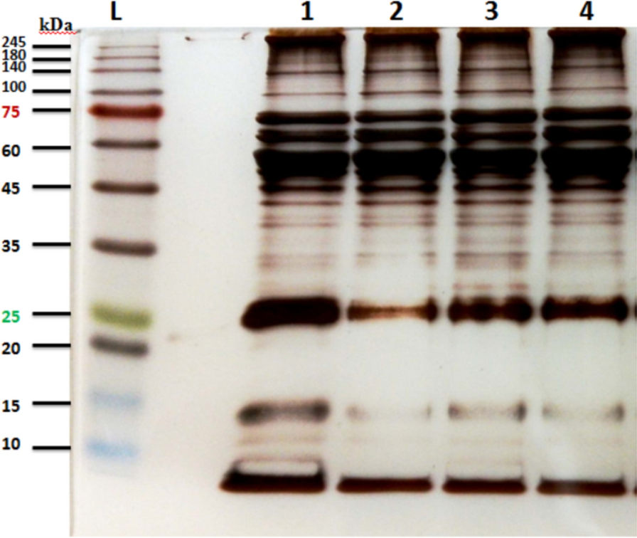 Fig. 1