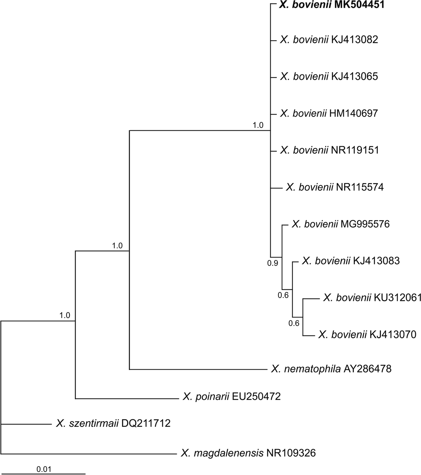 Fig. 6