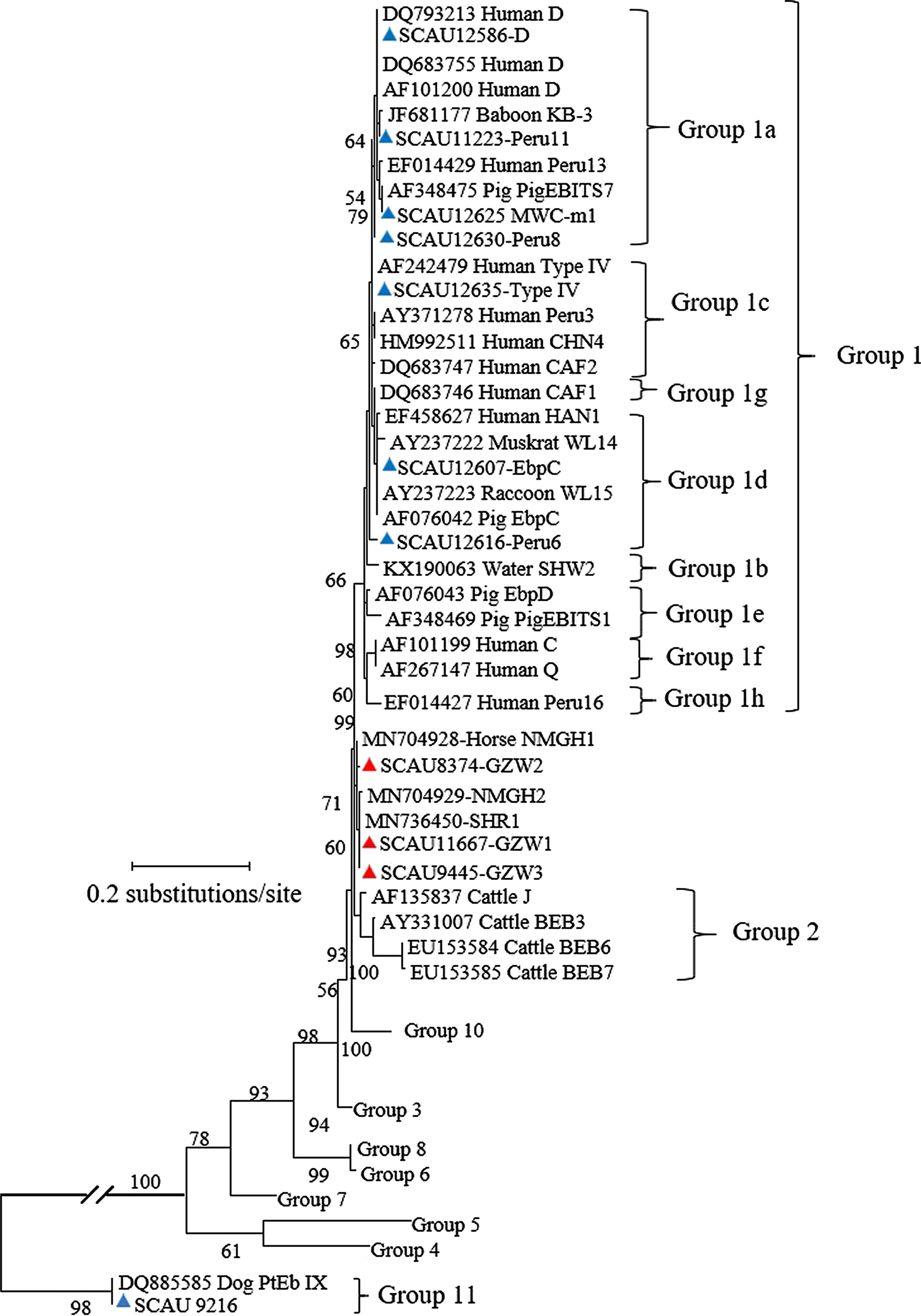 Fig. 1