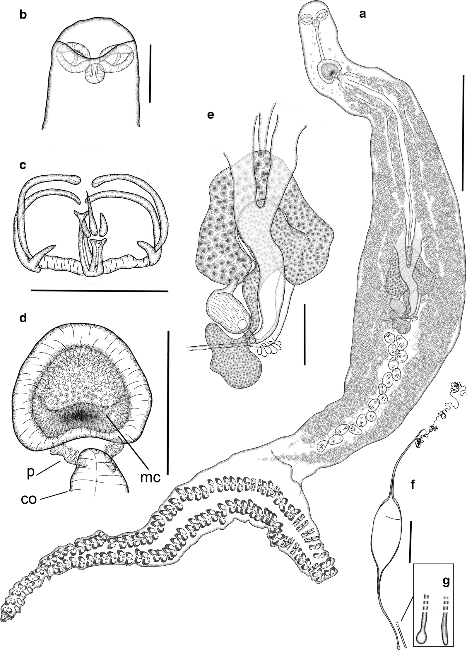 Fig. 4