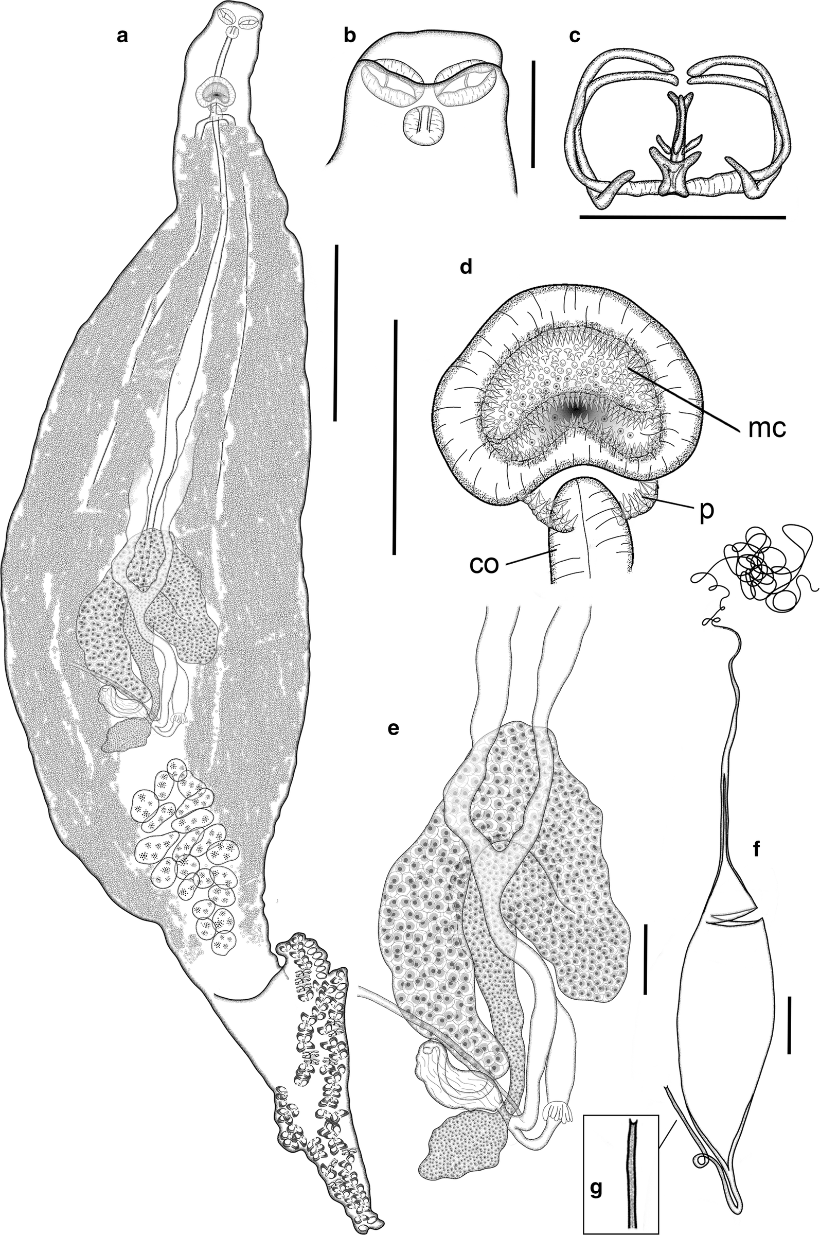 Fig. 5