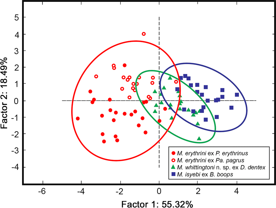 Fig. 7