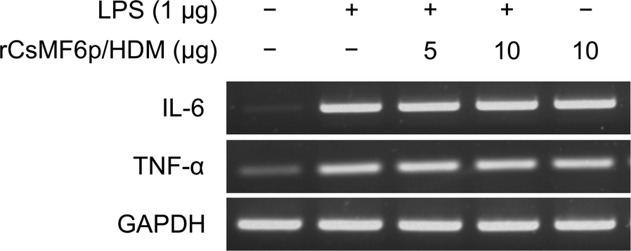 Fig. 6