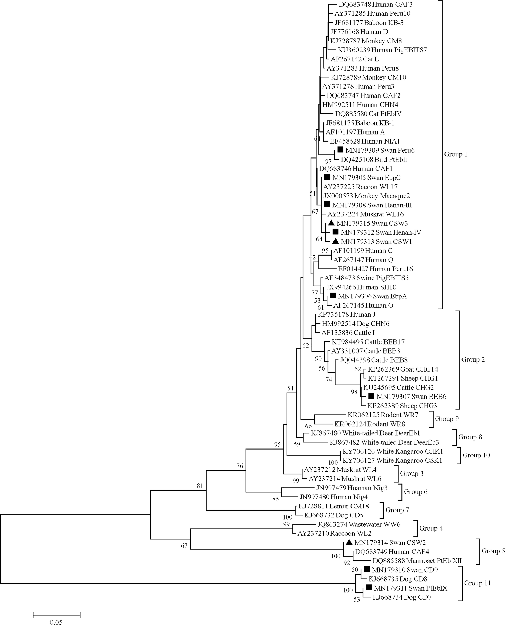 Fig. 3