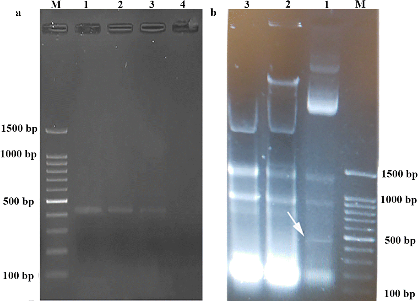 Fig. 7