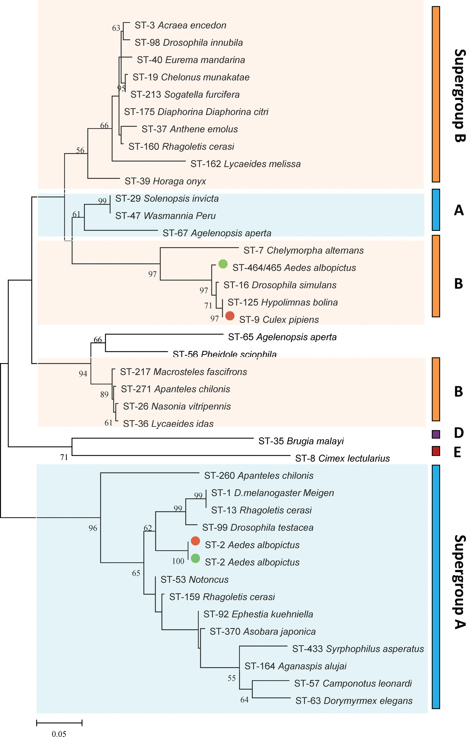 Fig. 6