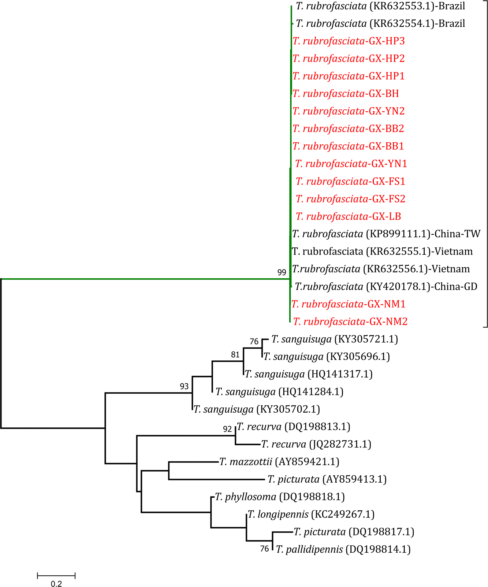 Fig. 6