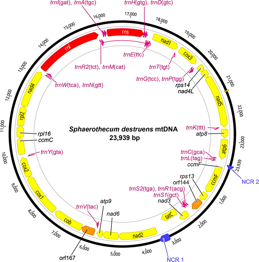 Fig. 2