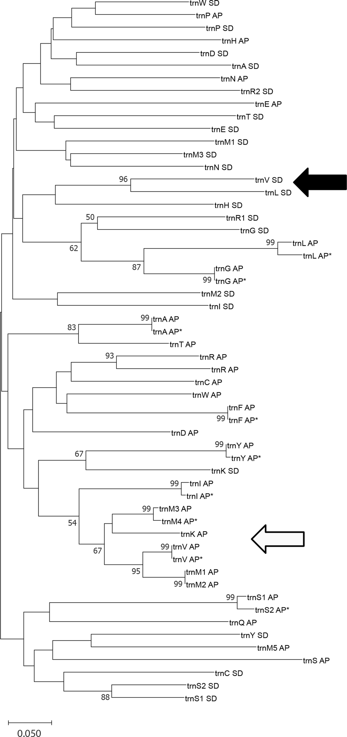 Fig. 4