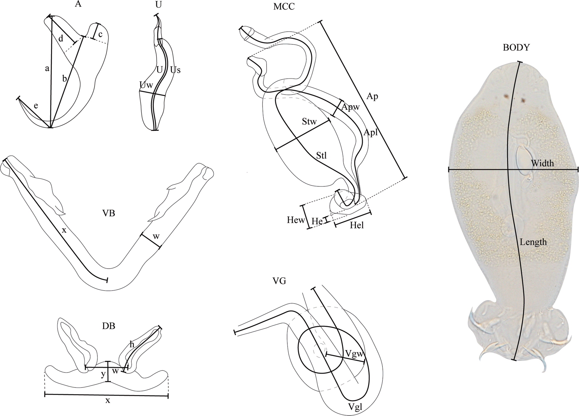 Fig. 2