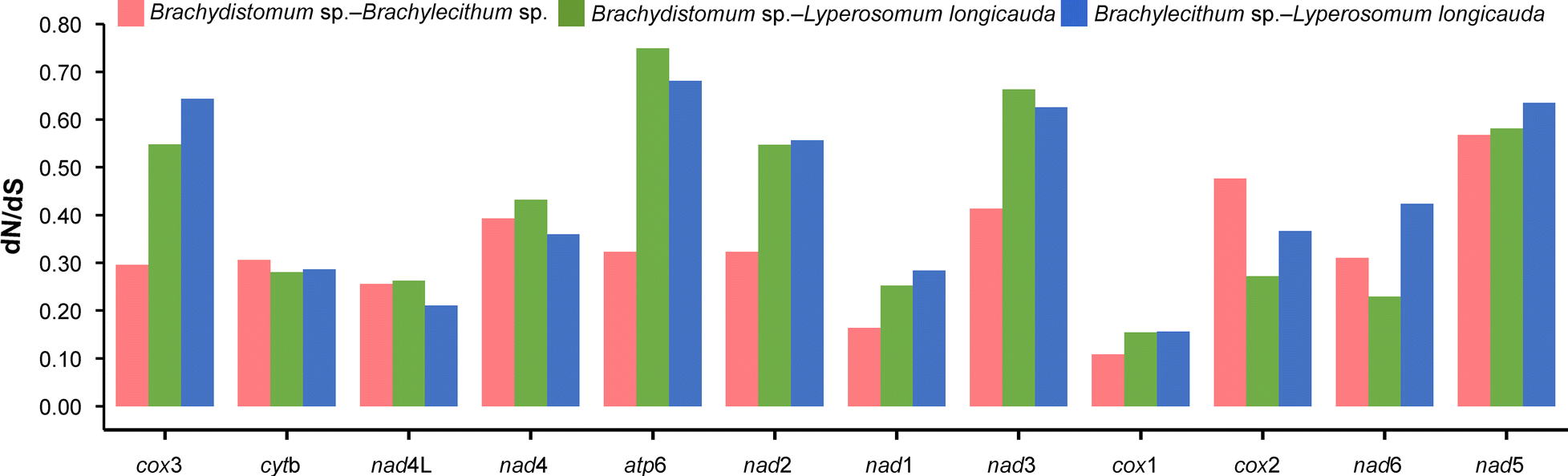 Fig. 4