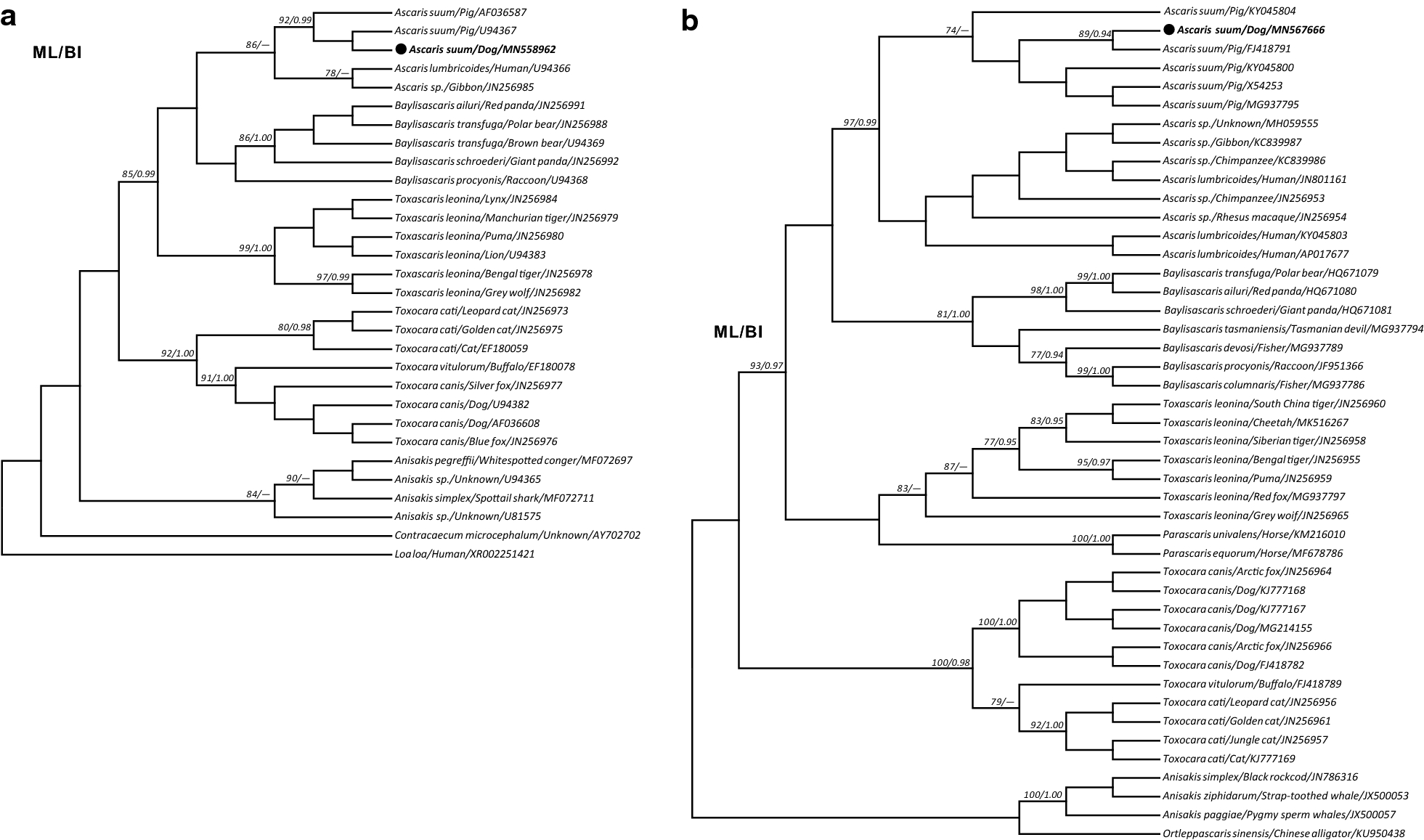 Fig. 2