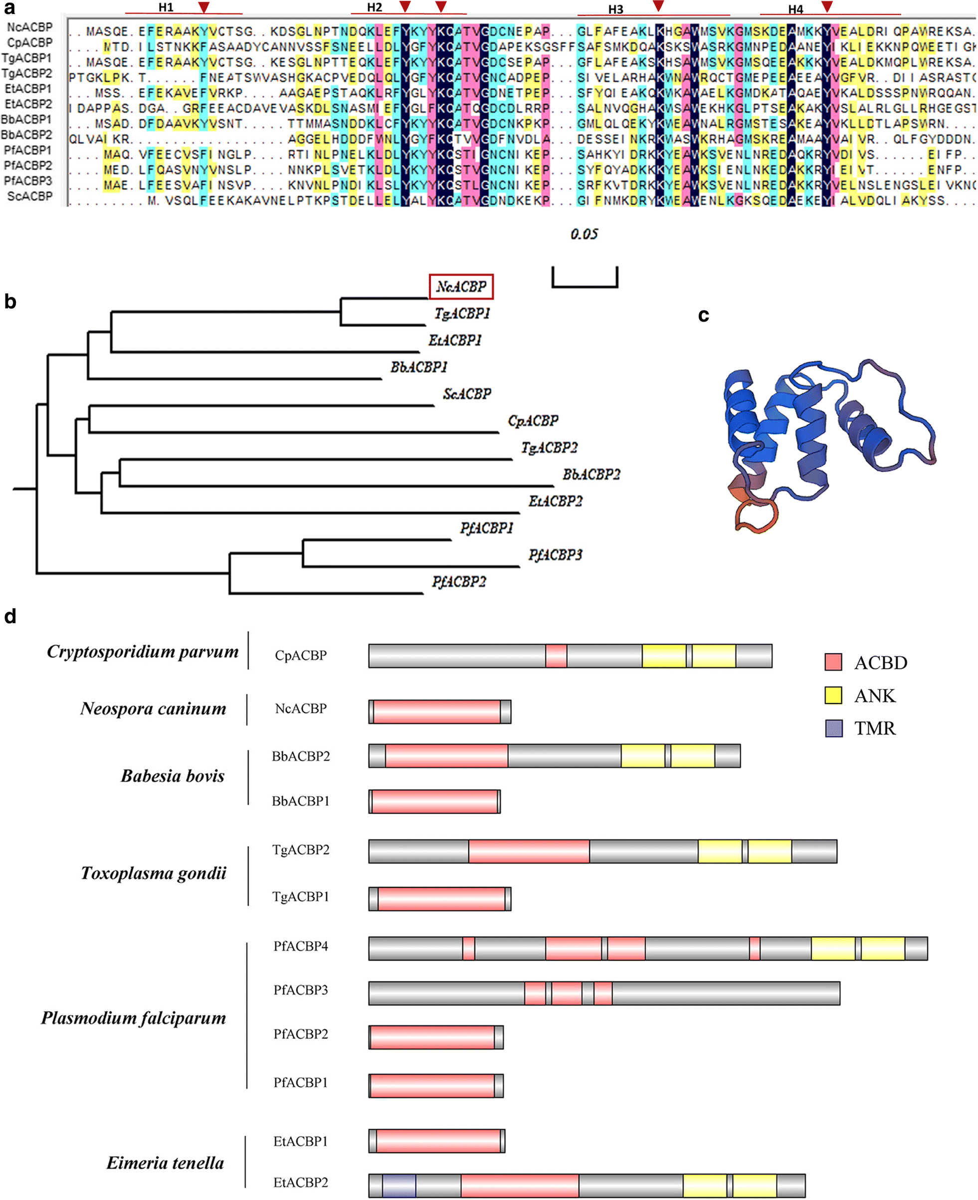 Fig. 1