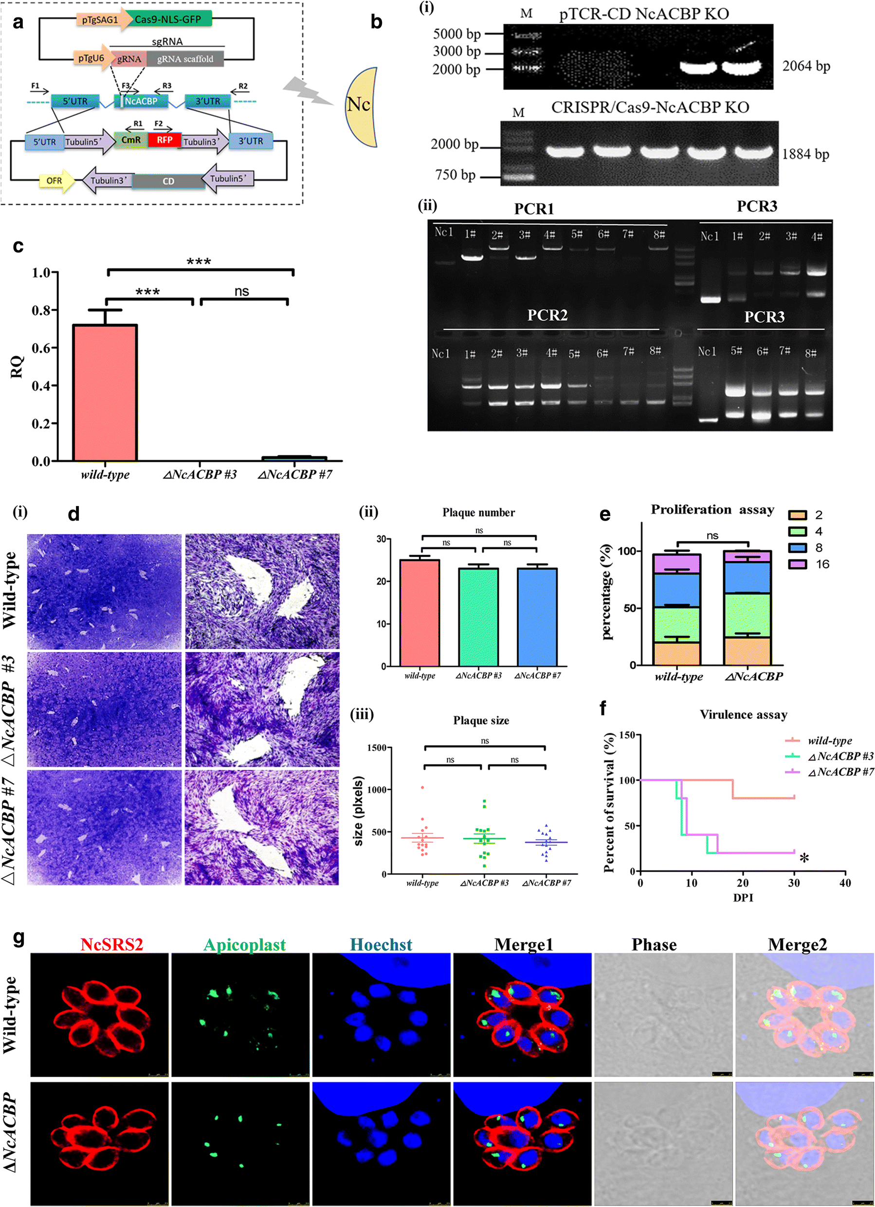 Fig. 4