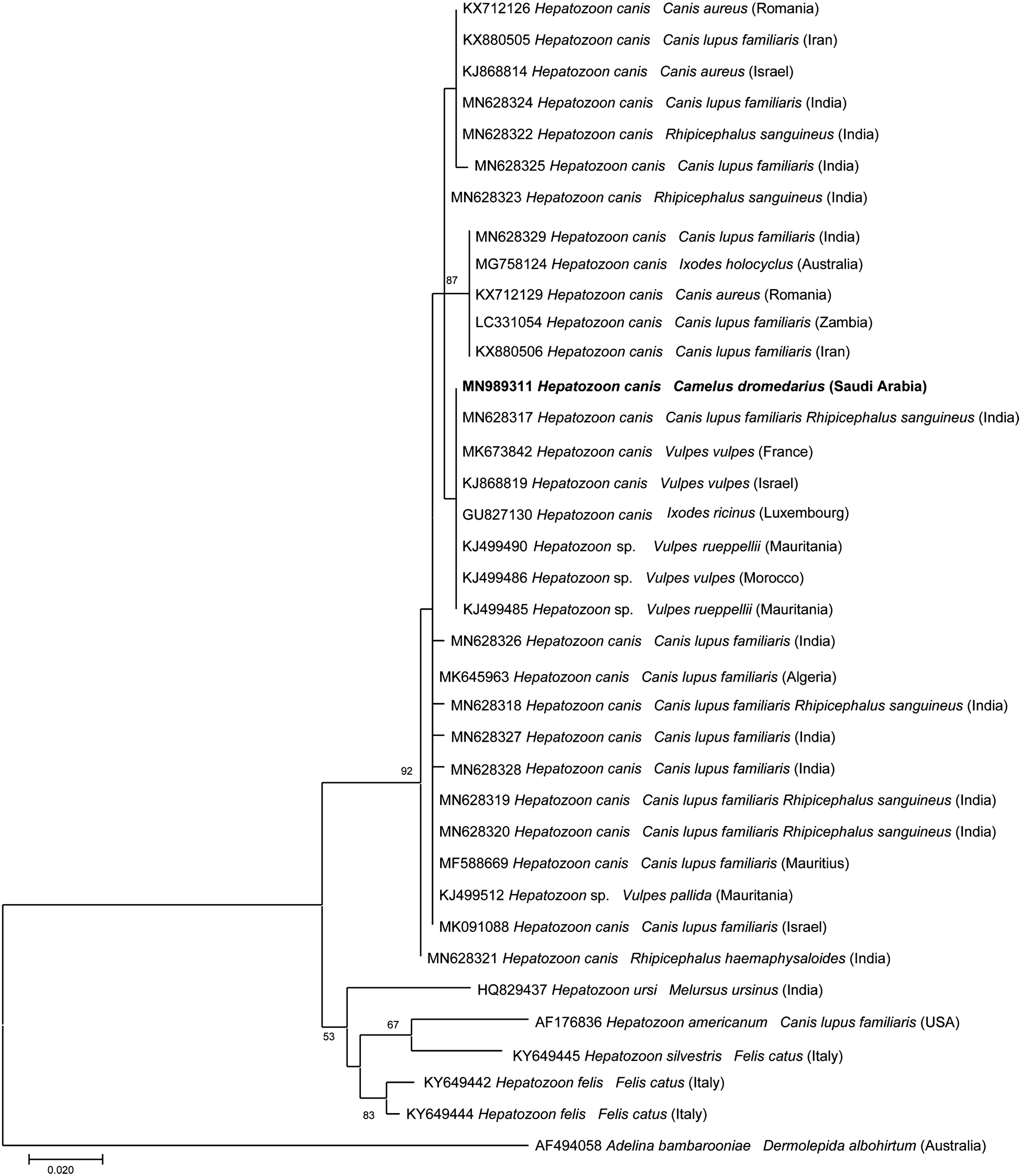 Fig. 1