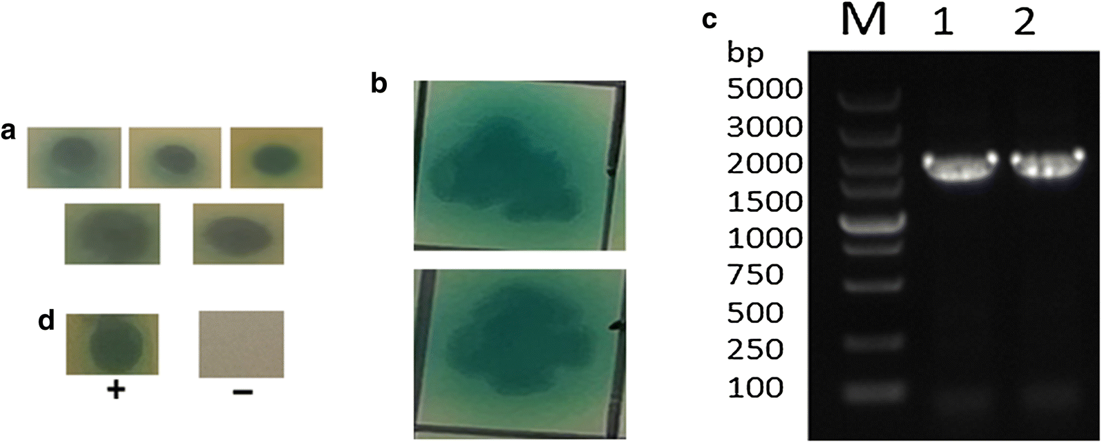 Fig. 3