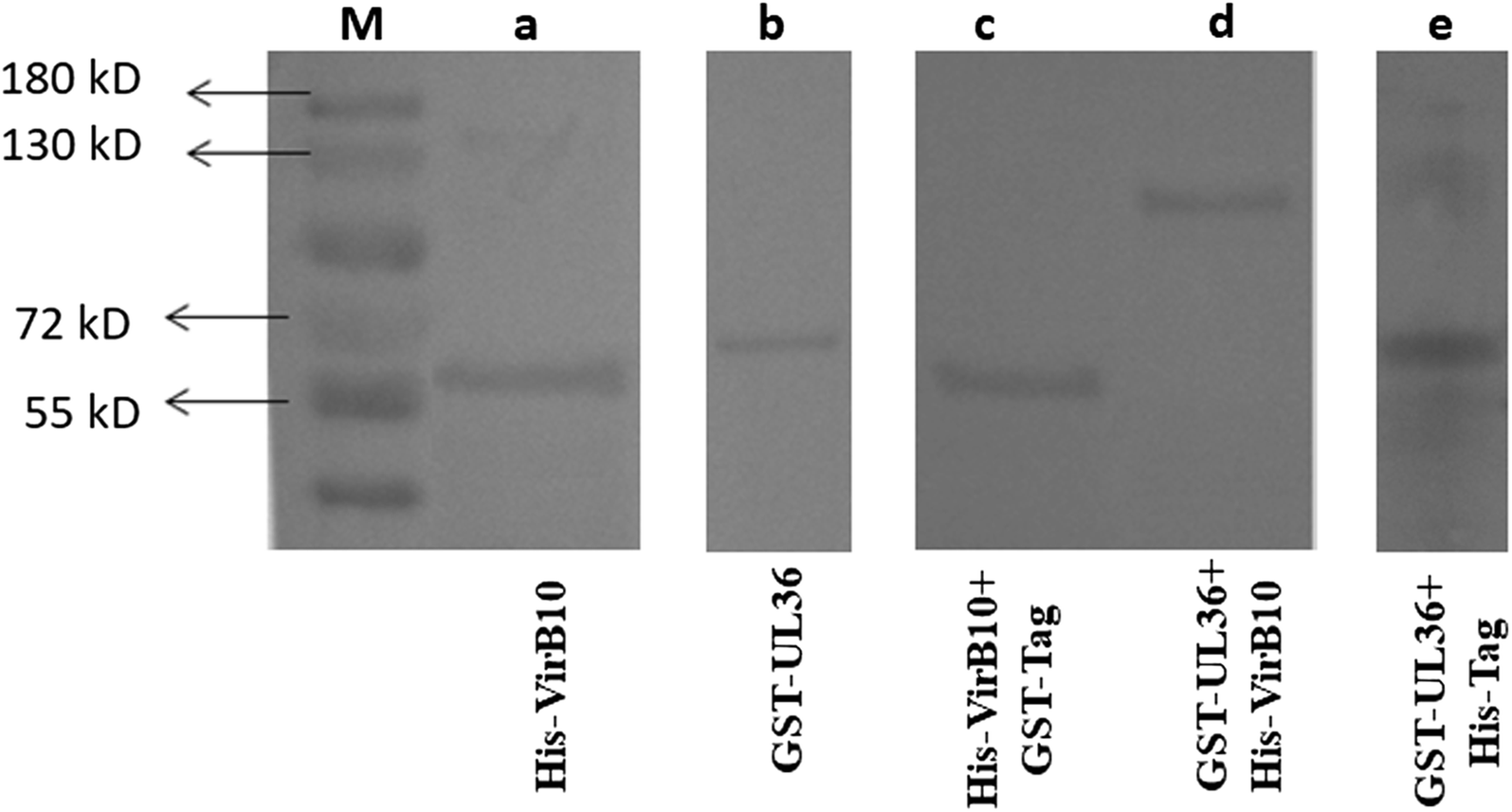 Fig. 4