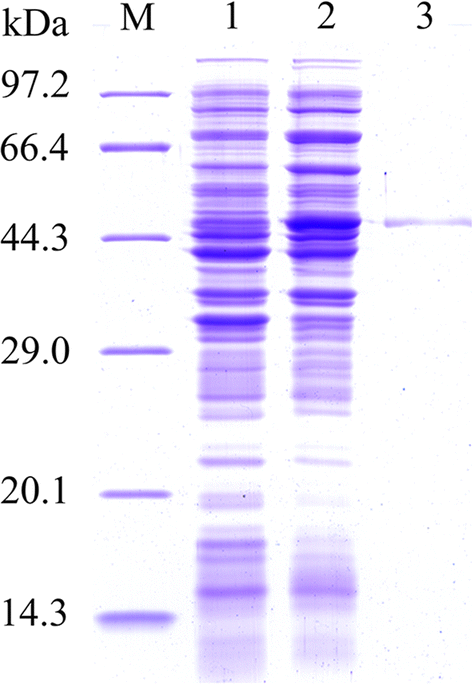 Fig. 3