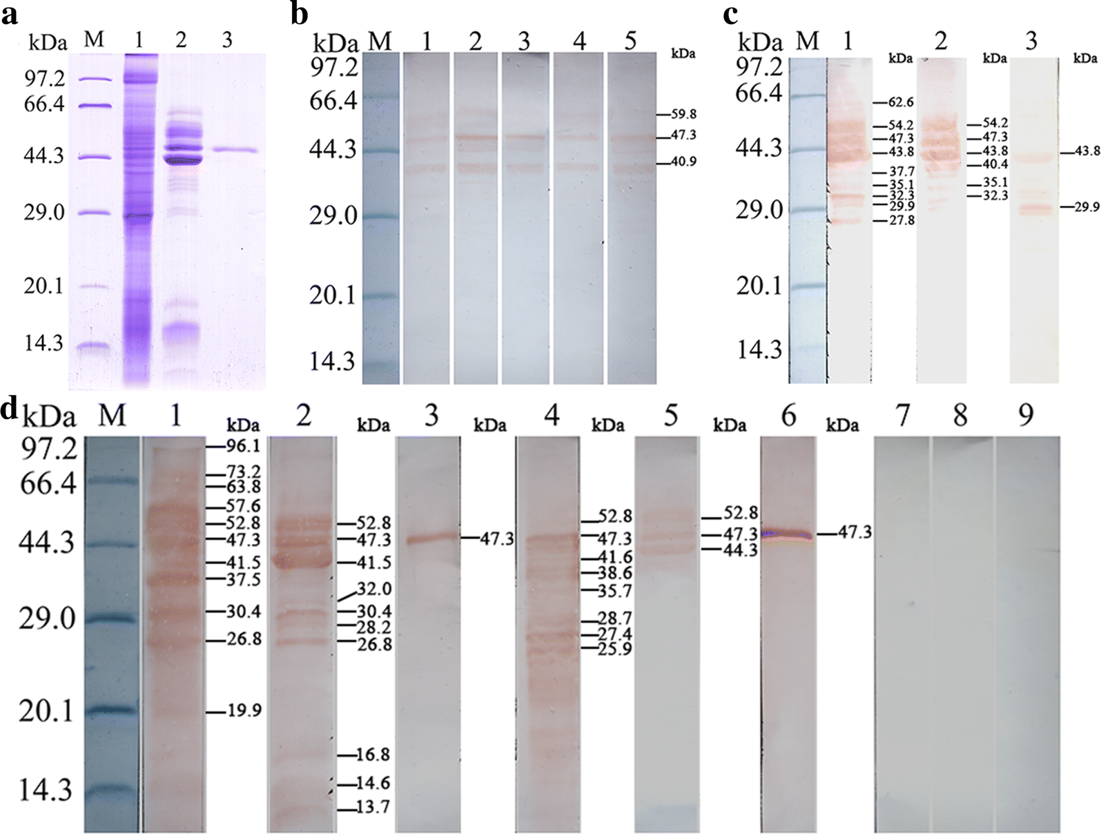 Fig. 4