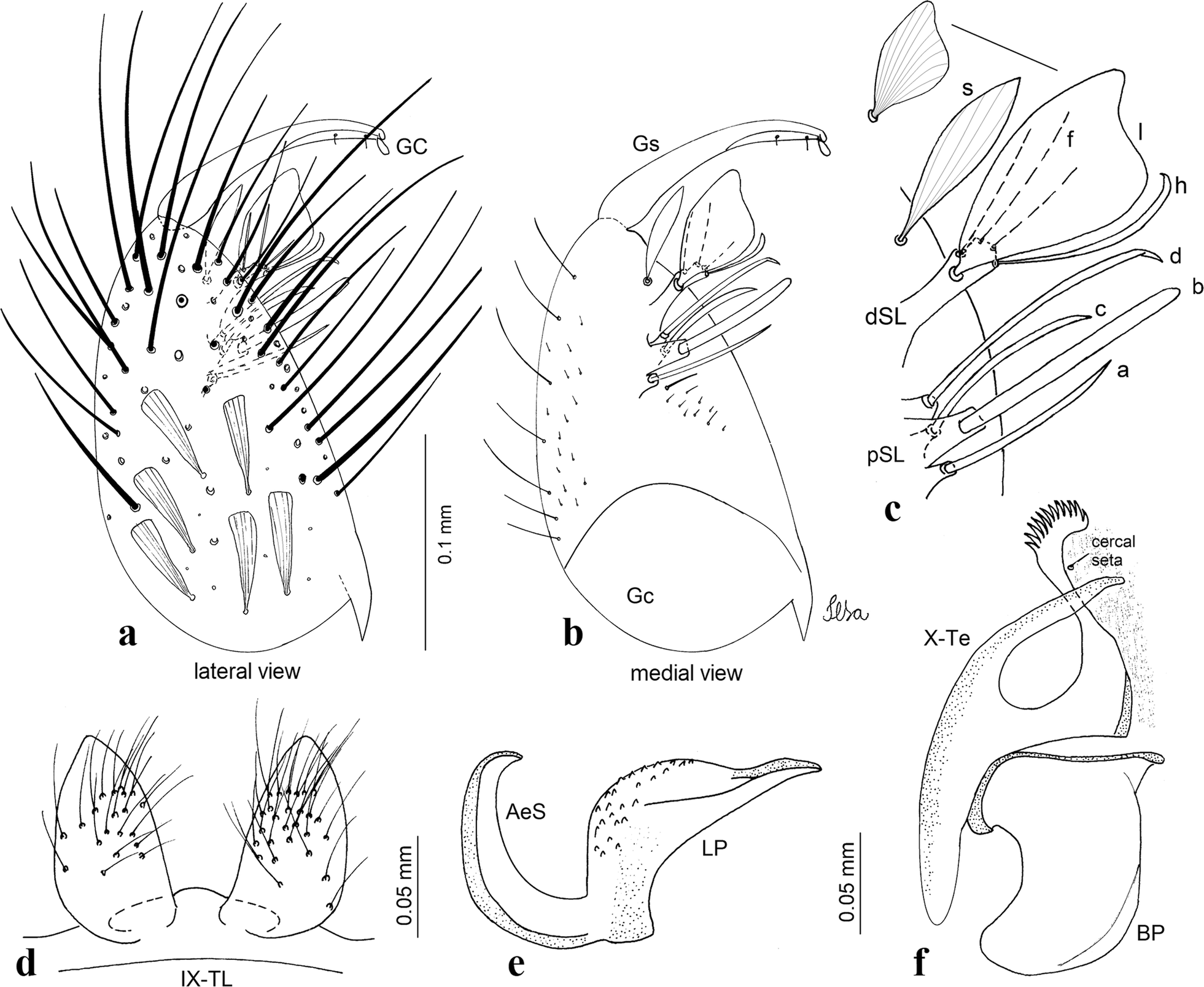 Fig. 10