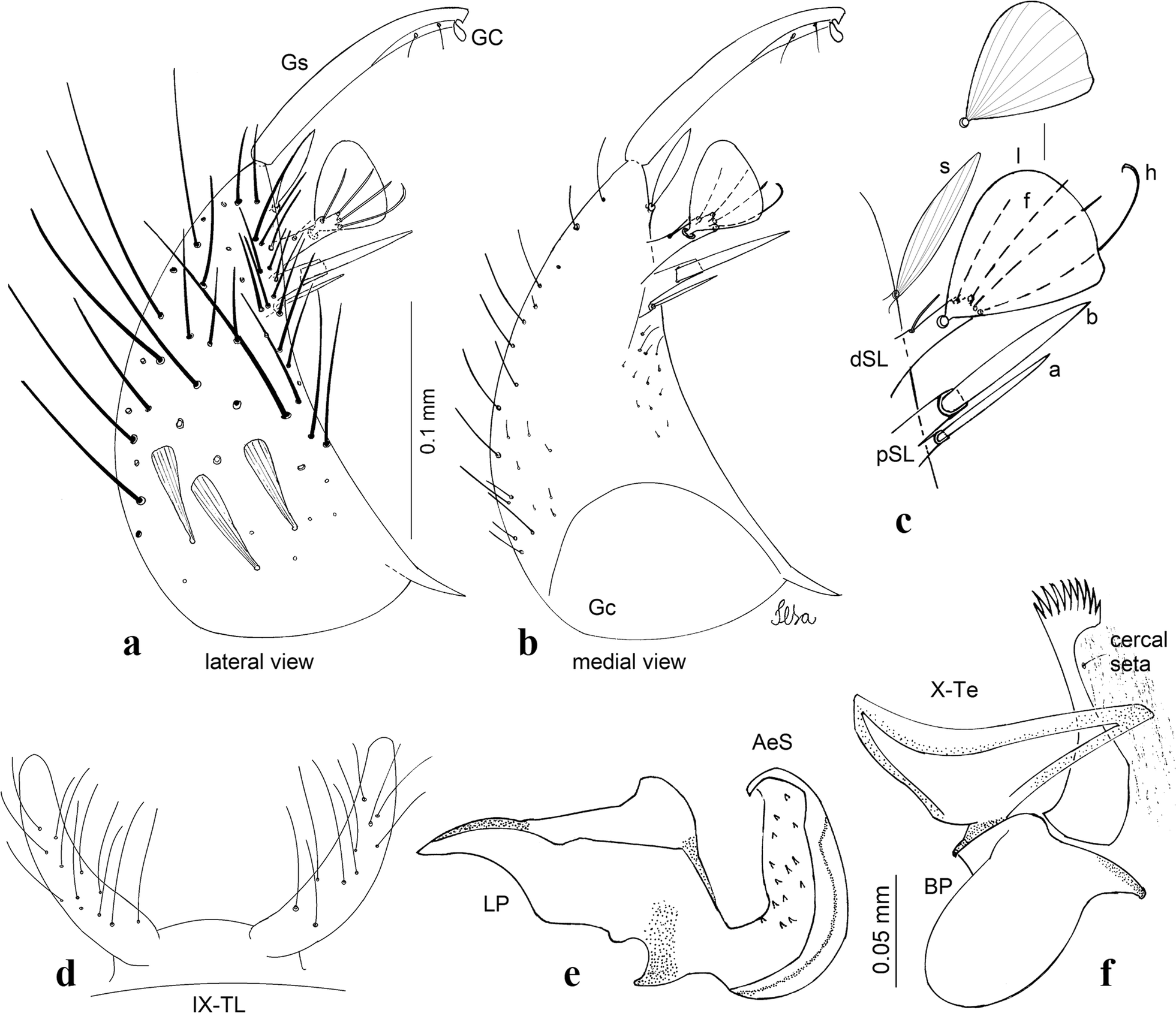 Fig. 11