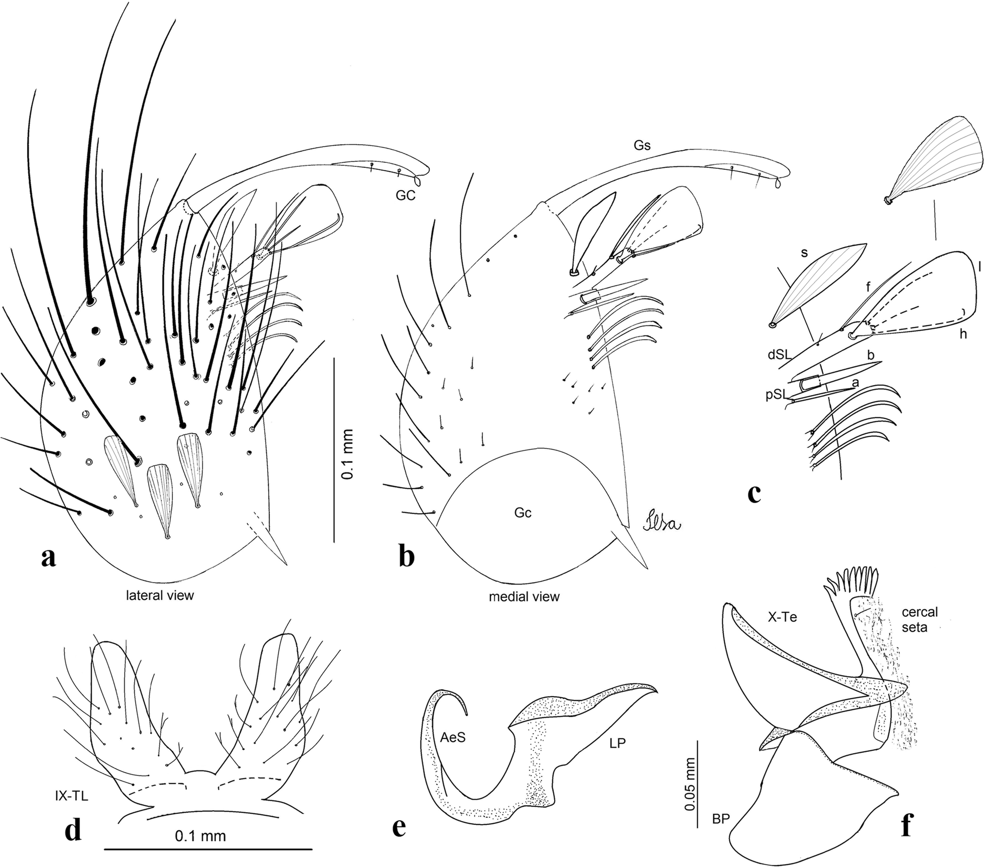 Fig. 13