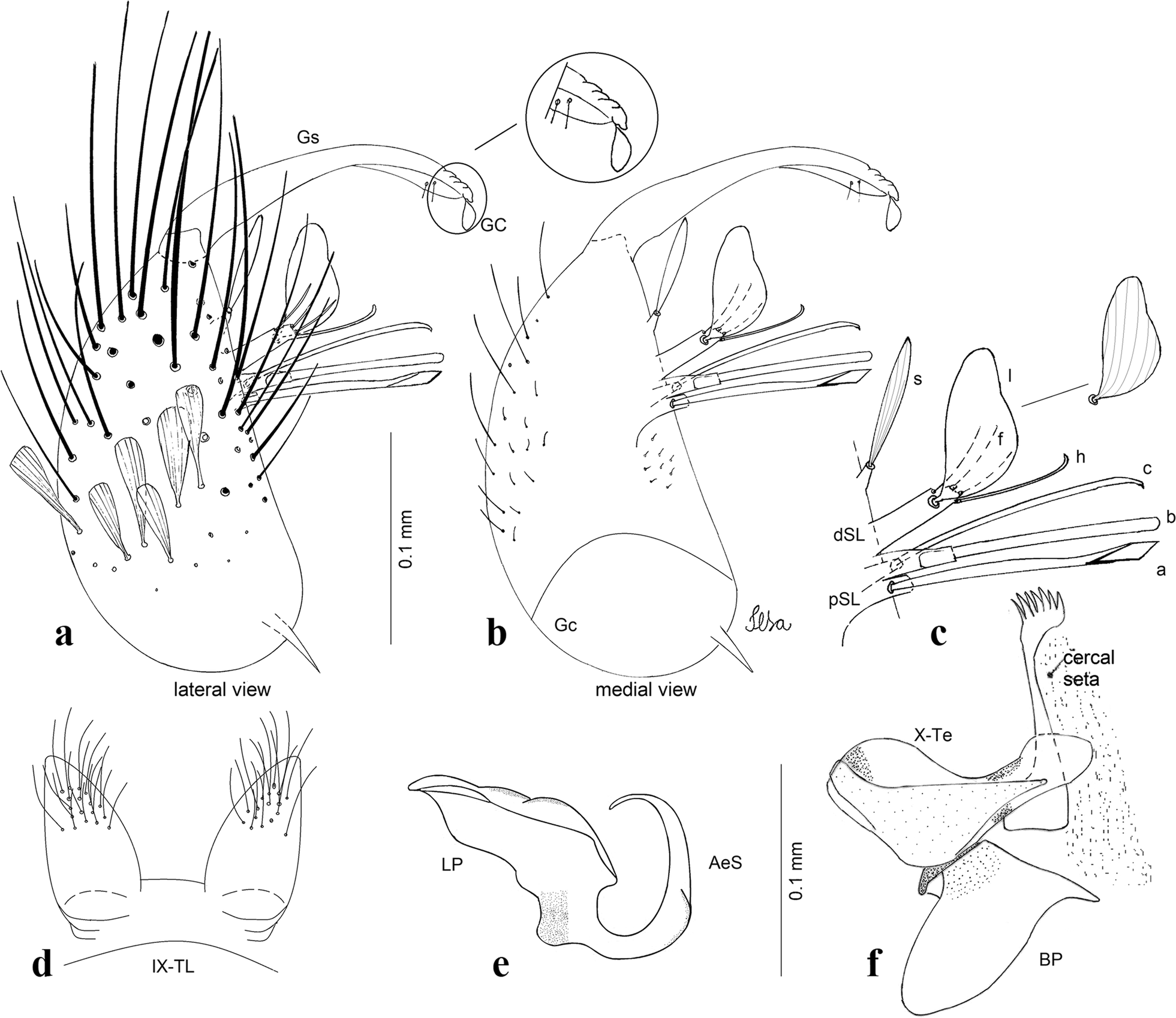 Fig. 18