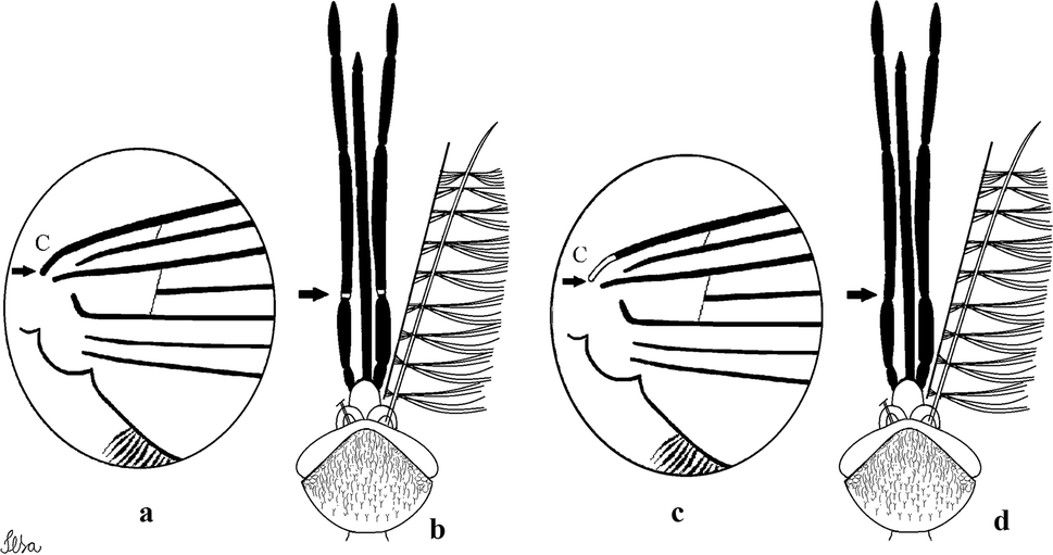 Fig. 26