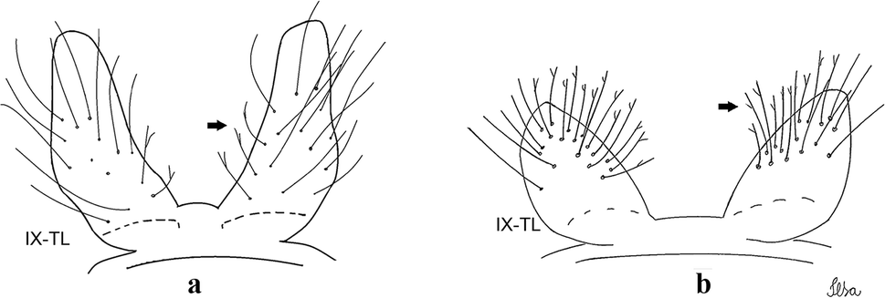 Fig. 34