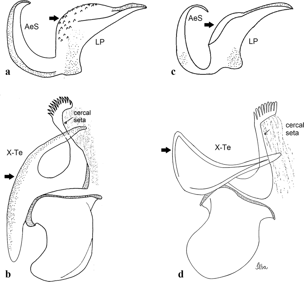 Fig. 36