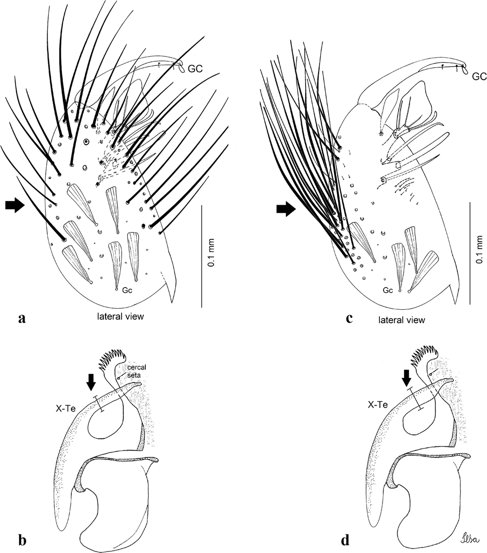 Fig. 37