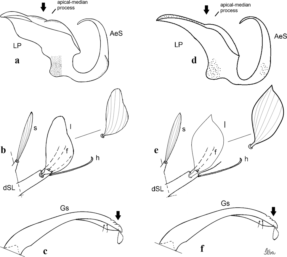 Fig. 39