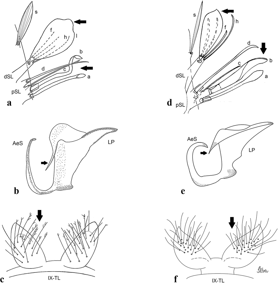 Fig. 40