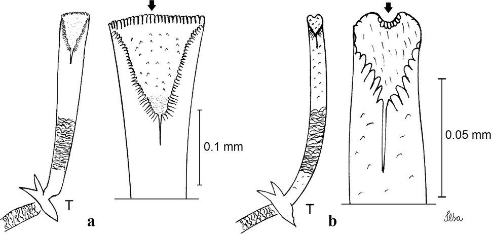 Fig. 41