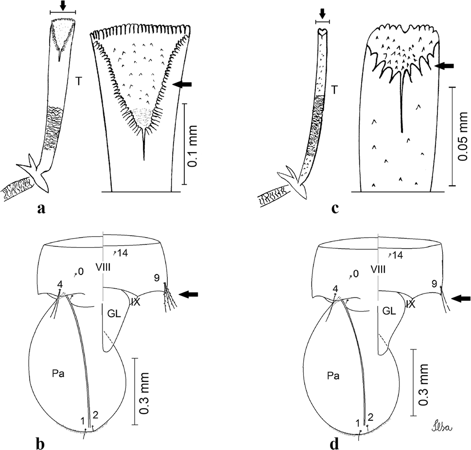 Fig. 42