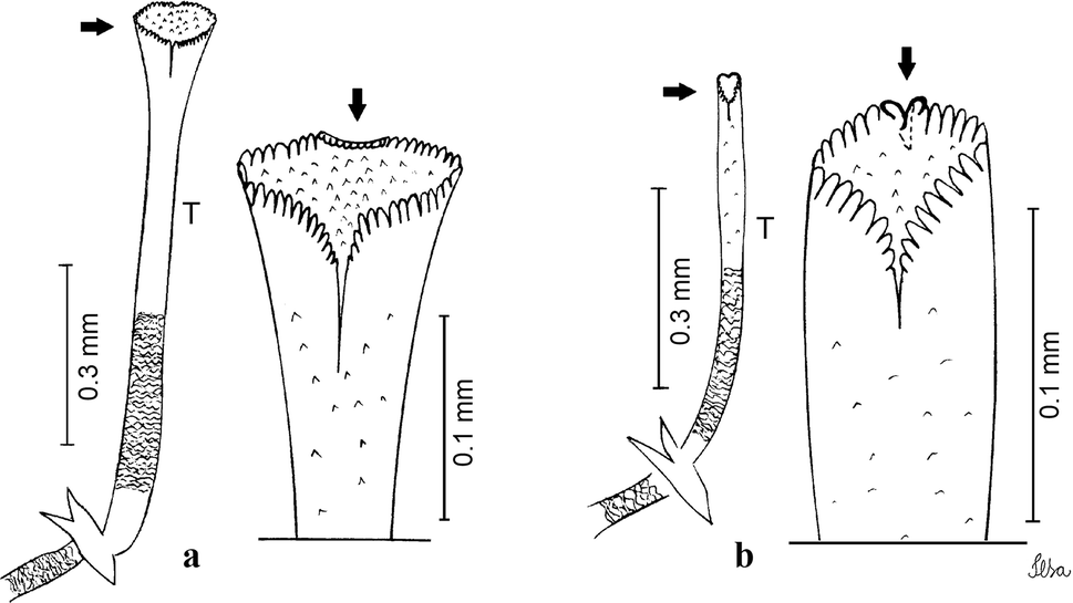 Fig. 44