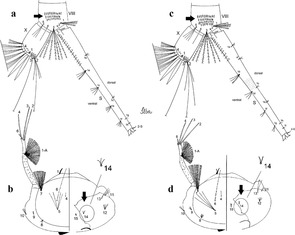 Fig. 48