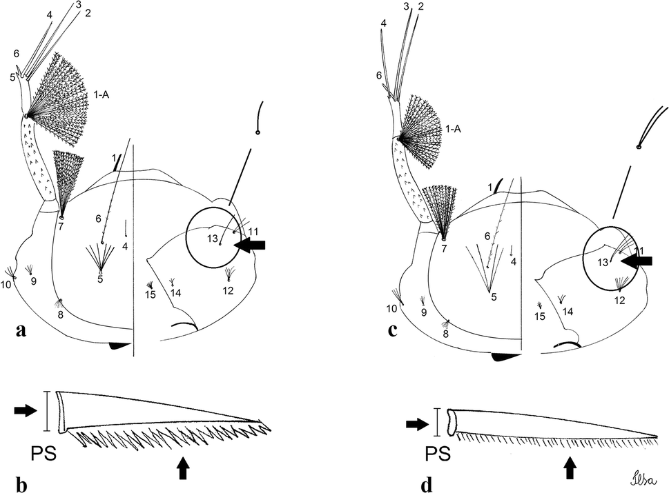 Fig. 49