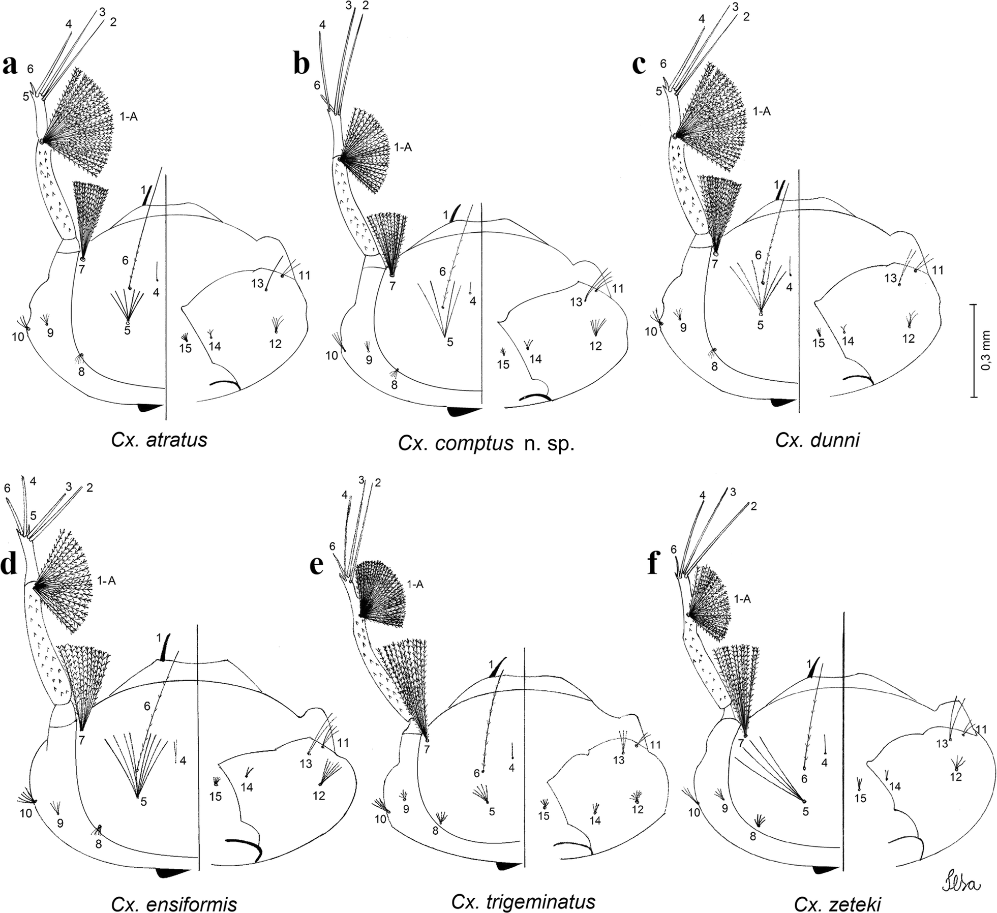 Fig. 5